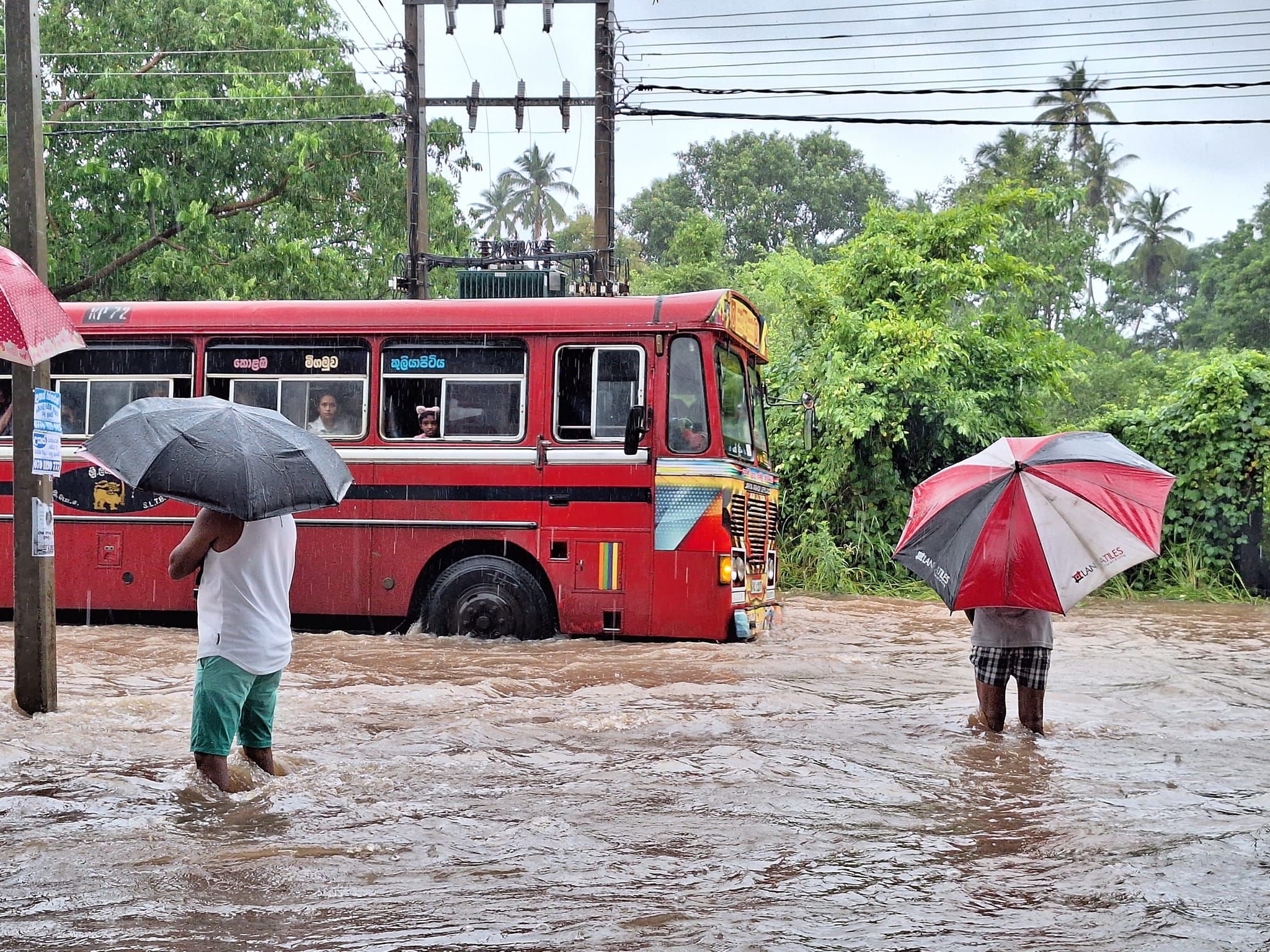 456394102 1009901084259370 7805214635268655061 n
