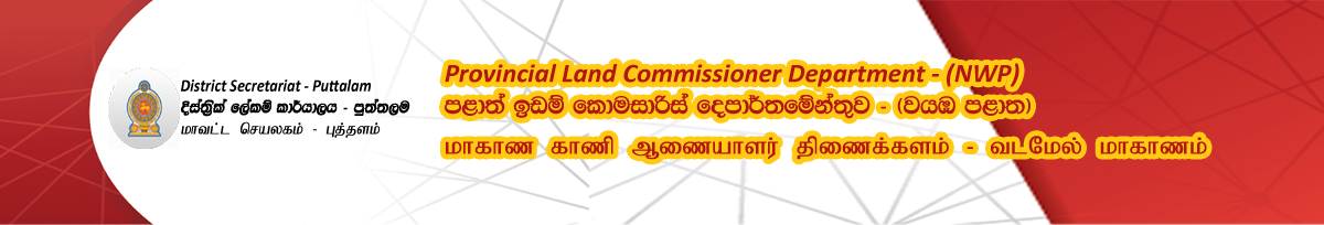 Land Commissioner Division