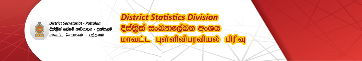 Stat Branch
