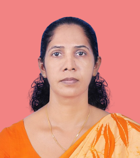 Land Use Planning DMDPK Panagoda